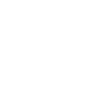 Heart and House Icon